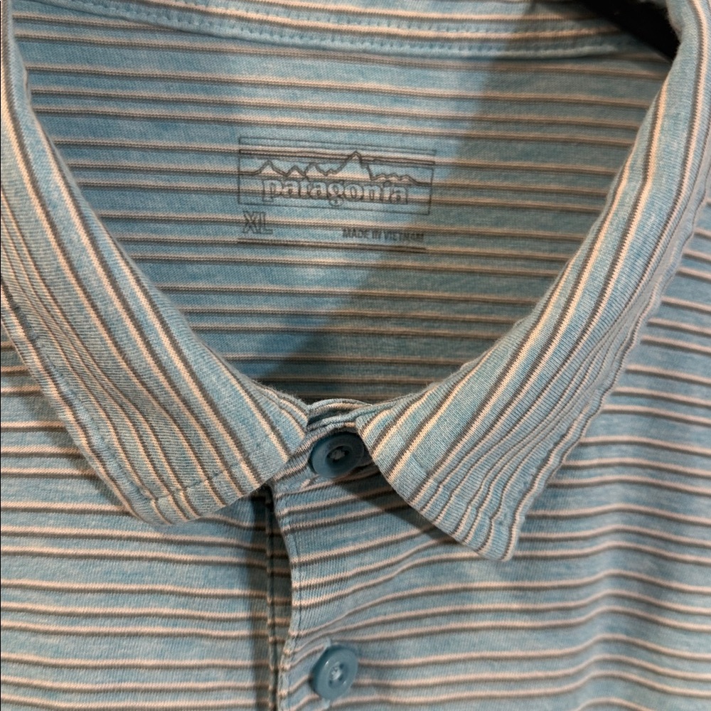 Patagonia striped polo XL - Picture 2 of 5